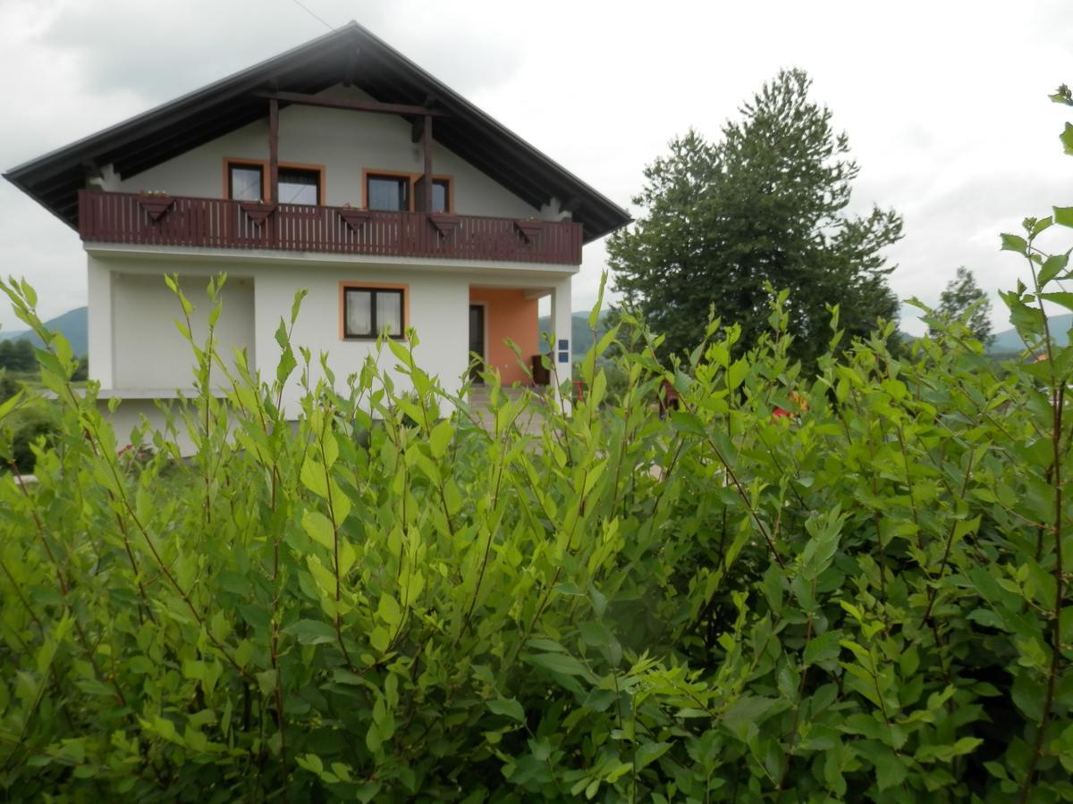 Guesthouse Matija Irinovac Exterior photo